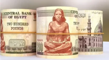 تثبيت أسعار الفائدة في البنوك المصرية يرفع عوائد شهادات الادخار إلى 22%